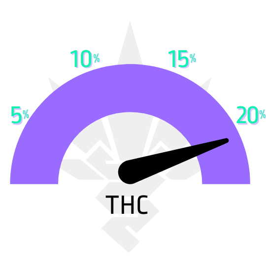 Fuel D.OG feminizovaná semena marihuany obsah THC